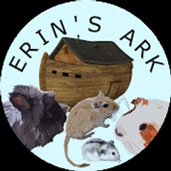 Erin's Ark