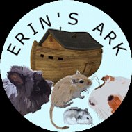 Erin's Ark