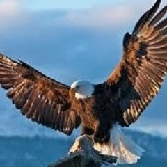 Nature Redefined