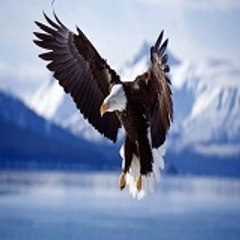 dm_12d01a509d19972e47b0f807ec642f6a