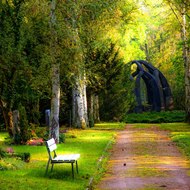 Entertainment everyday