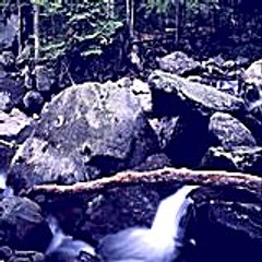 johnloren6618