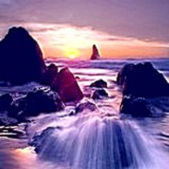 joejames8157