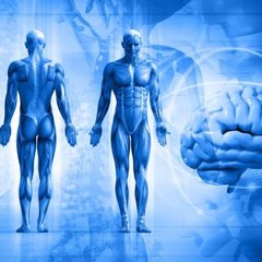 DOMêNGUEZ GUERRERO RICARDO ARCADIO