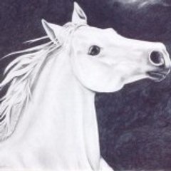 ffgdssd