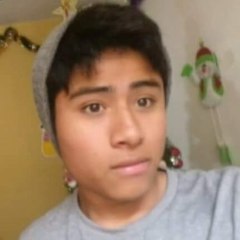 AMIGO DEL MONO XD