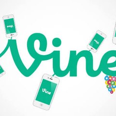 All India vines