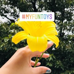 My Fun Toys