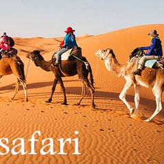 The Desert Safari