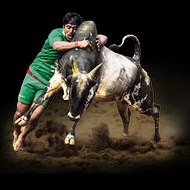 Jallikattu Mallukattu