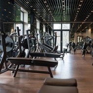 Efraín Jesús Rojas Mata - Gym