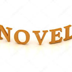 Blog de Novelas