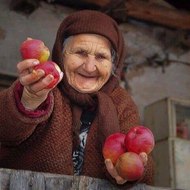 بيت المسلسلات