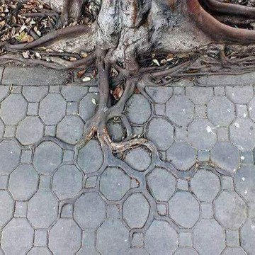 مادهوبالا منتهى العشق