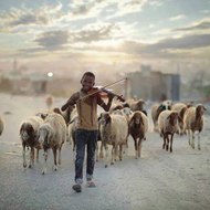 مسلسلات دراما