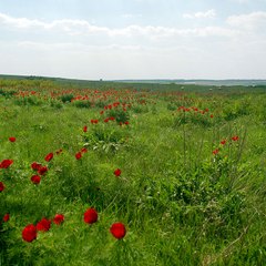 Gixep