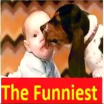 The Funniest