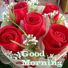 N S K d Narend Kushwaha