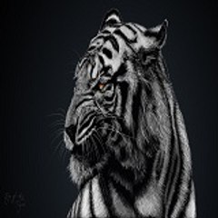 Bhagat Ashish