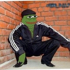 Paludi-Sensei