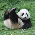 Beautiful Relaxing Music