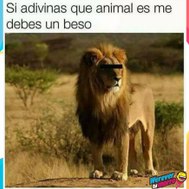 Entretenimiento y juegos