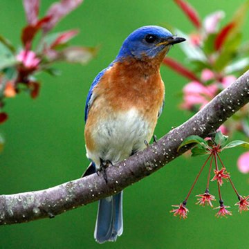 AMIT SRIVASTAVA LIVE