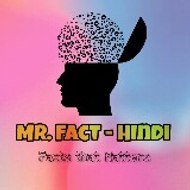 Mr. Fact - Hindi