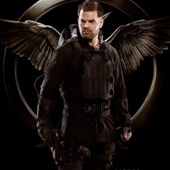Download - The Hunger Games  Mockingjay - Part 1 (