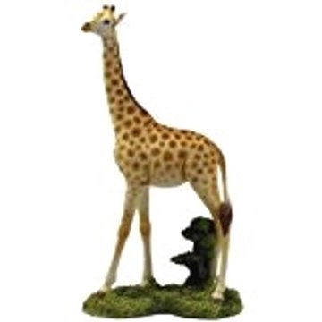 Wild Animals