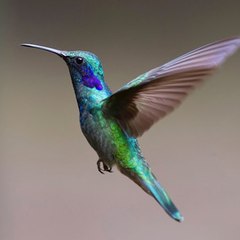 Planeta Impresionante
