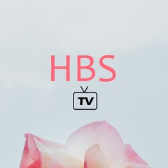 HV Entertainment