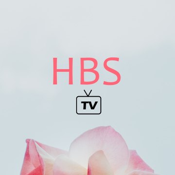 HV Entertainment