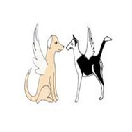 Miranda Alcott & Company