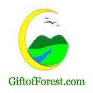 Gift of Forest