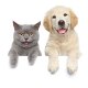 funnypets