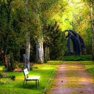 video dekhana