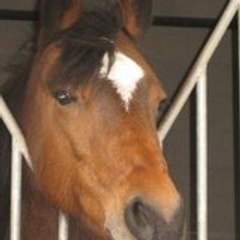 Mathilde