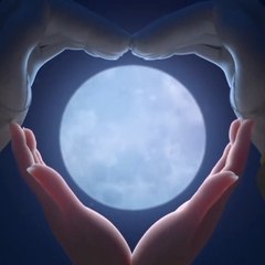 Cute love fairy land