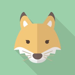 こん