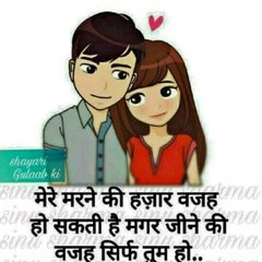 Shamli 19