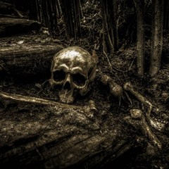 Just Good Old M.R. James