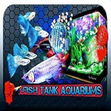Aquarium de poissons HD FISH TANK AQUARIUMS