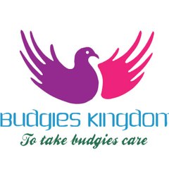 BUDGIES KINGDOM