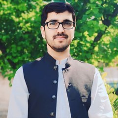 Waqar Hussain