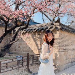Thao Phan
