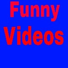 Funny Videos