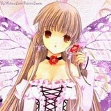 la_ptite_puce