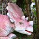 Mcs Dinosaur