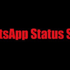 WhatsApp Status Story